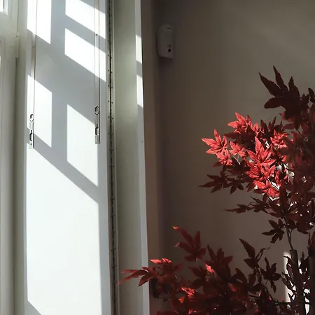 アパート Charminn Estacao アヴェイロ